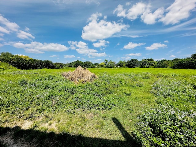 view of local wilderness with a rural view