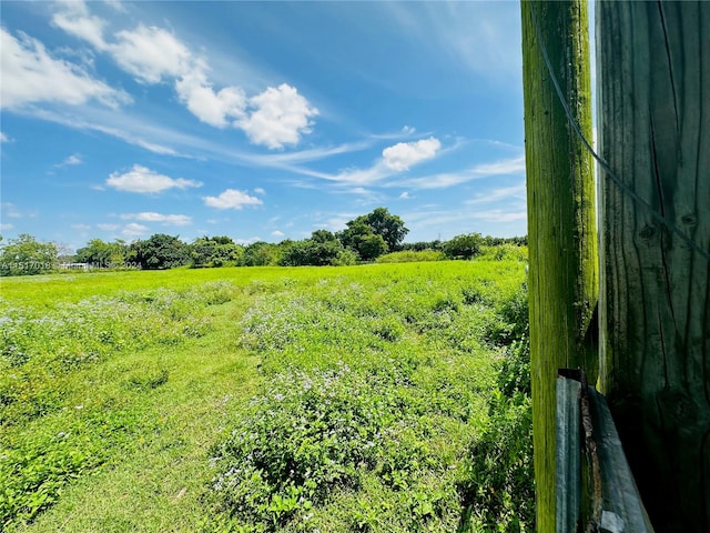 view of local wilderness featuring a rural view