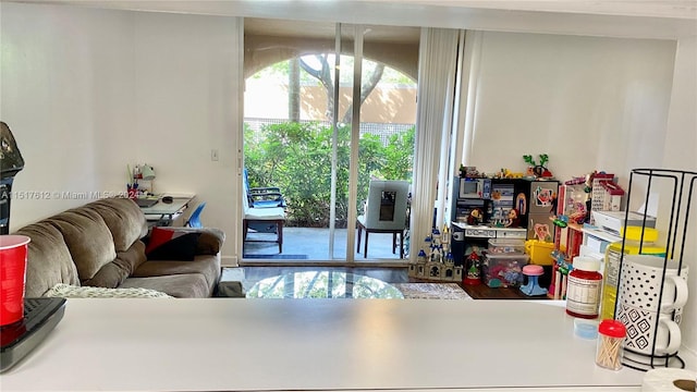 living room featuring hardwood / wood-style flooring