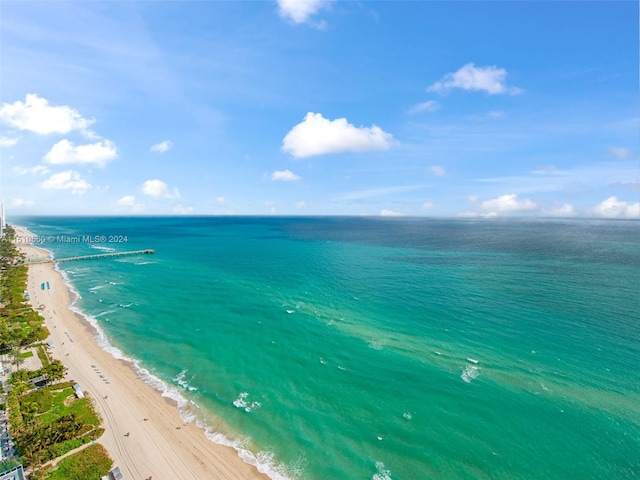 view of water feature featuring a beach view