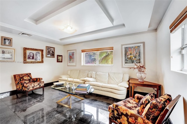 living room with a raised ceiling