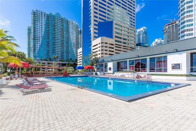 view of pool featuring a patio