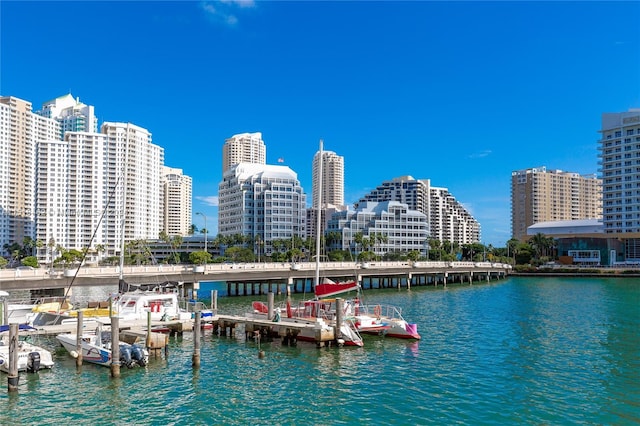 water view featuring a boat dock