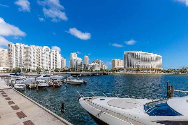 dock area with a water view