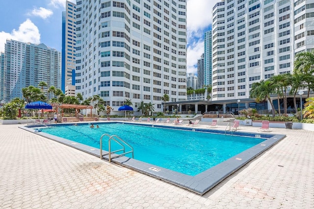 view of pool featuring a patio area