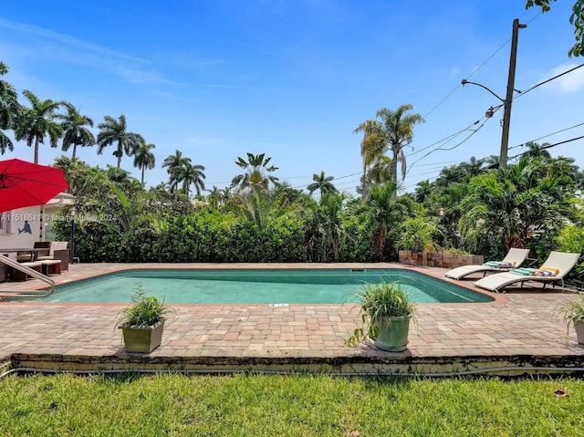 view of pool featuring a patio area