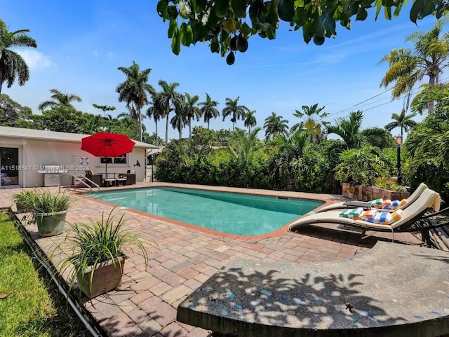 view of pool featuring a patio area