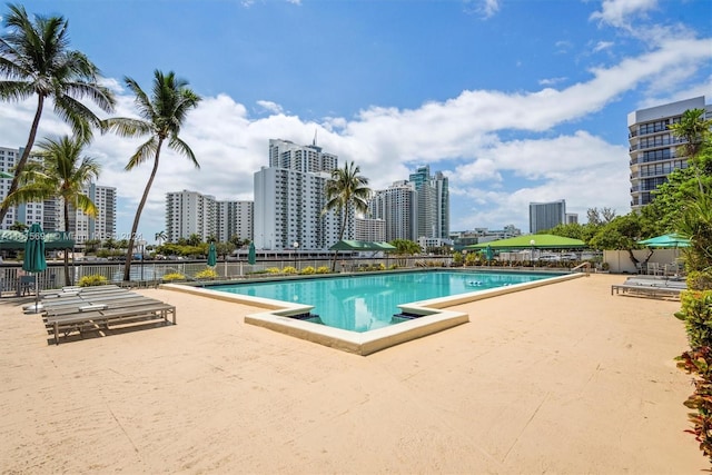 view of pool with a patio area