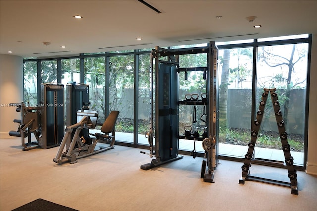 gym with light carpet, expansive windows, and a wealth of natural light