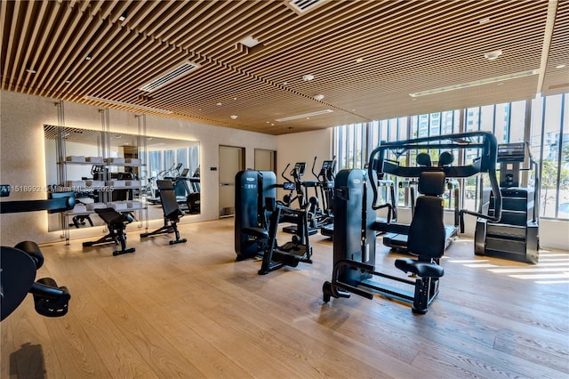 exercise room featuring light hardwood / wood-style flooring