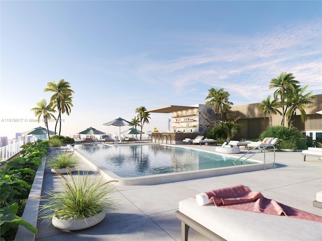 view of swimming pool with a patio