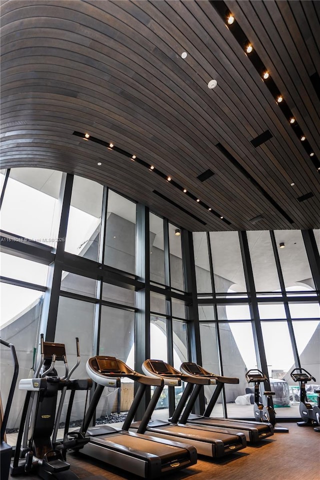 exercise room with hardwood / wood-style flooring and expansive windows