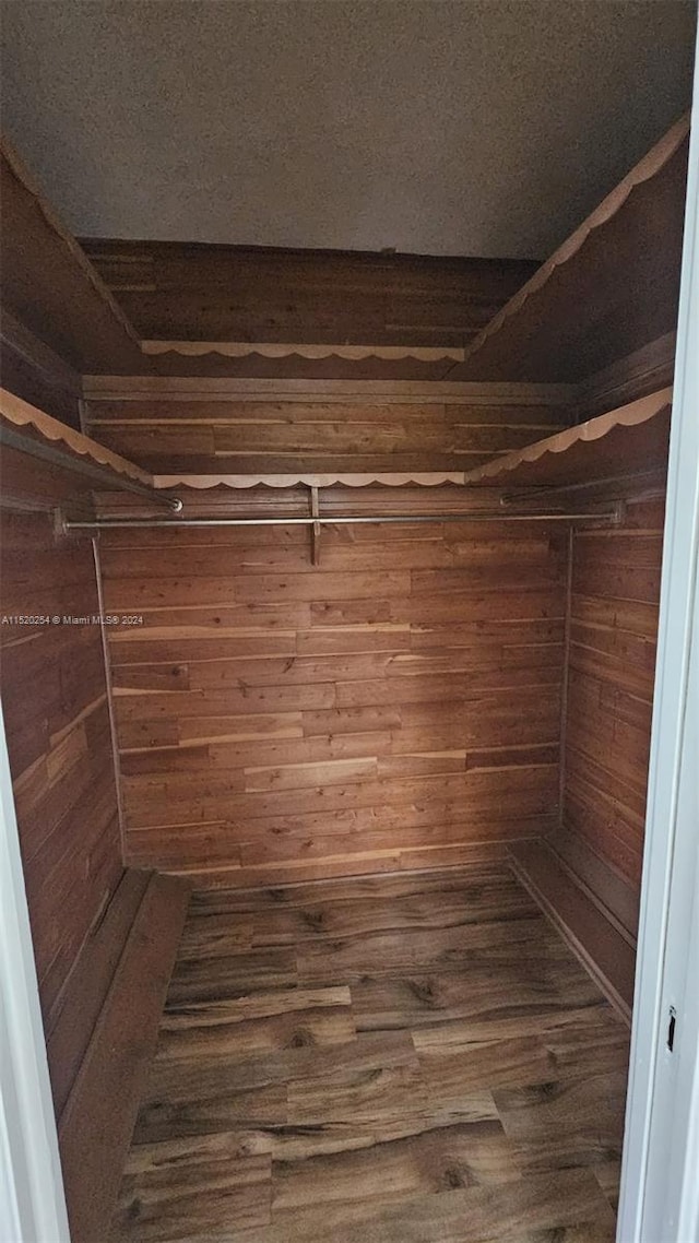 walk in closet featuring dark hardwood / wood-style floors