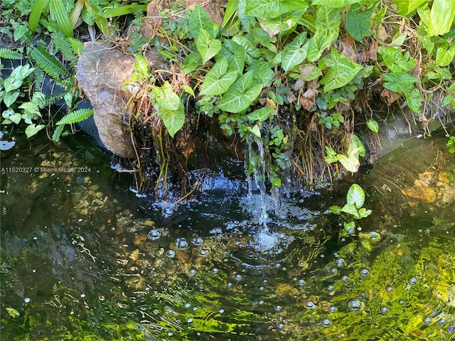 view of local wilderness