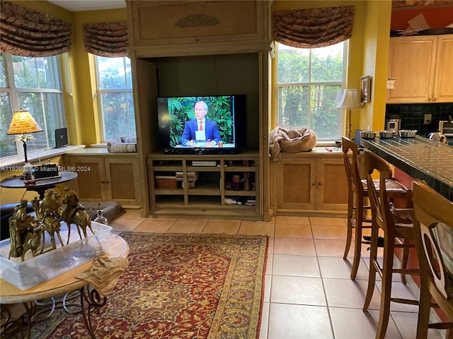 tiled living room with a healthy amount of sunlight