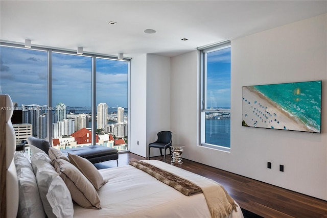 bedroom featuring dark wood-type flooring, floor to ceiling windows, and multiple windows