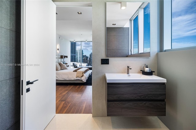 bathroom featuring hardwood / wood-style flooring, vanity, and a wealth of natural light