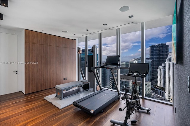 exercise area with floor to ceiling windows and dark hardwood / wood-style floors