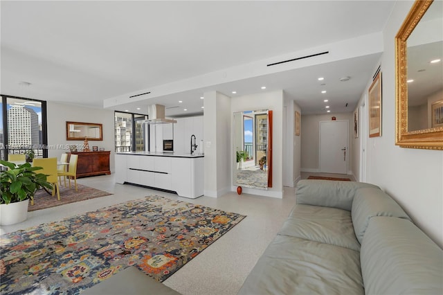 living room with a healthy amount of sunlight and sink