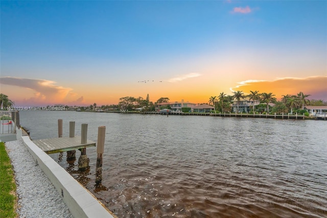 dock area with a water view