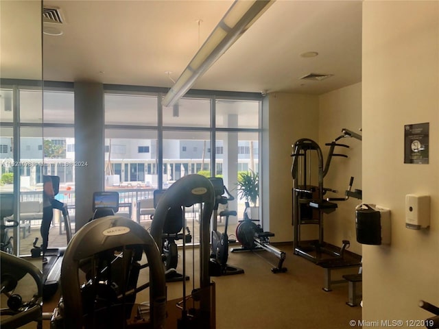 exercise room featuring carpet floors, a healthy amount of sunlight, and expansive windows