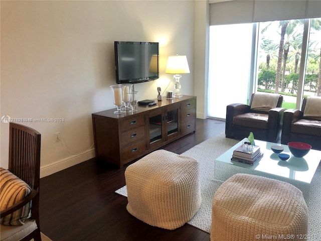 living room featuring dark hardwood / wood-style floors and a wealth of natural light