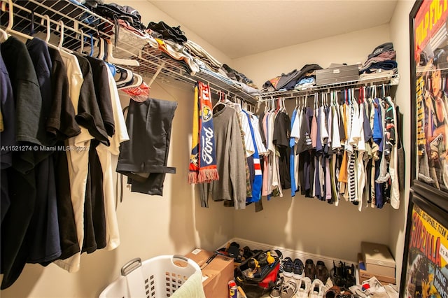 view of spacious closet