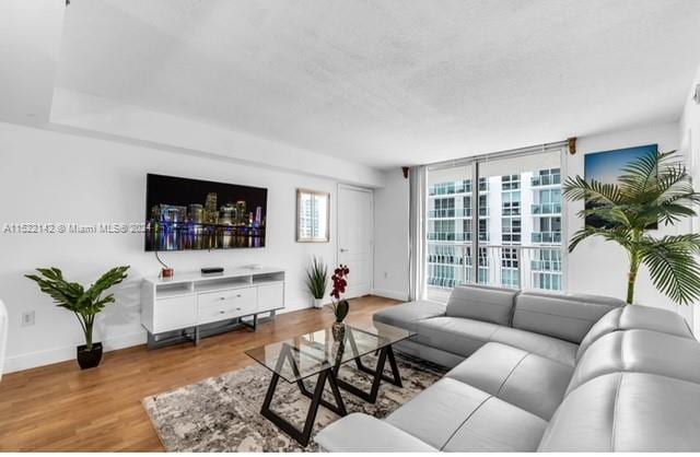 living room with light hardwood / wood-style floors