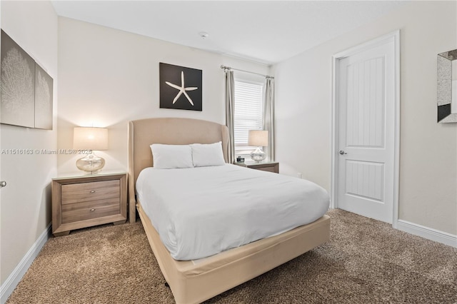 bedroom featuring carpet flooring