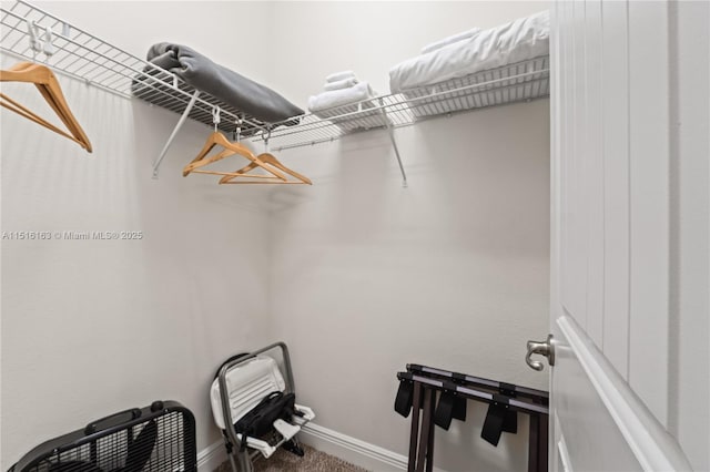 walk in closet featuring carpet floors