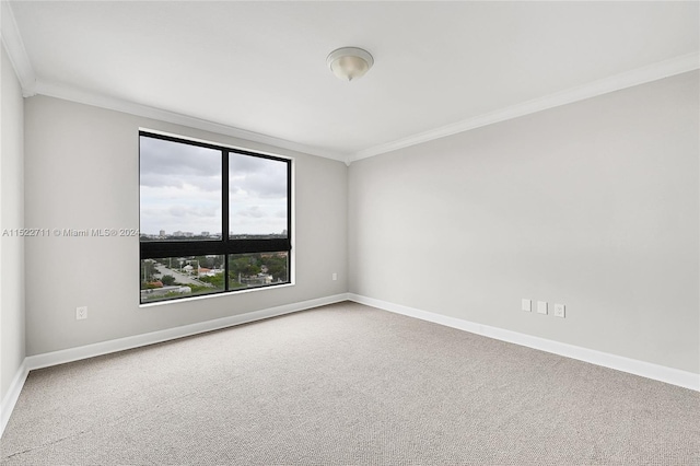 carpeted empty room with ornamental molding