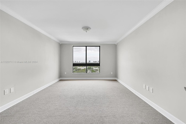 spare room with carpet and ornamental molding