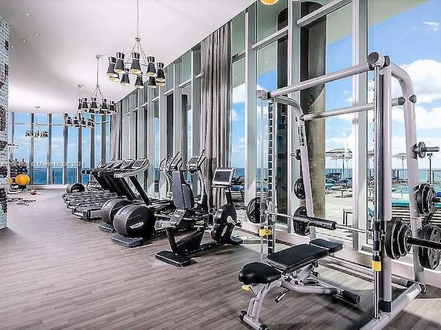 exercise room with plenty of natural light, expansive windows, and wood-type flooring