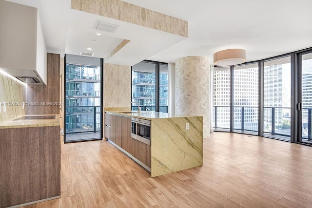 kitchen with plenty of natural light and light wood-type flooring