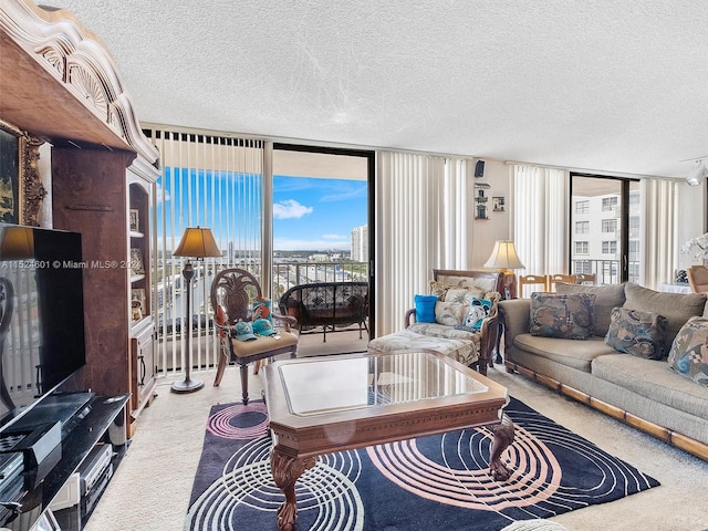 living room featuring light carpet and a textured ceiling