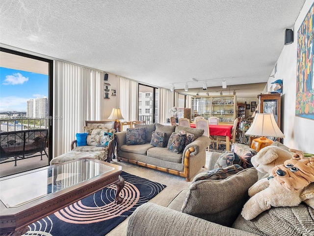 carpeted living room featuring a textured ceiling and track lighting