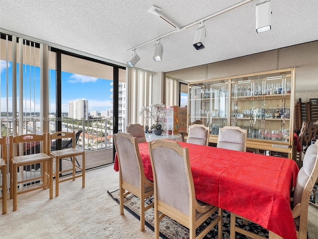 carpeted dining room featuring a healthy amount of sunlight, bar, a textured ceiling, and track lighting