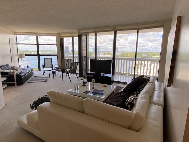 carpeted living room with floor to ceiling windows and a textured ceiling