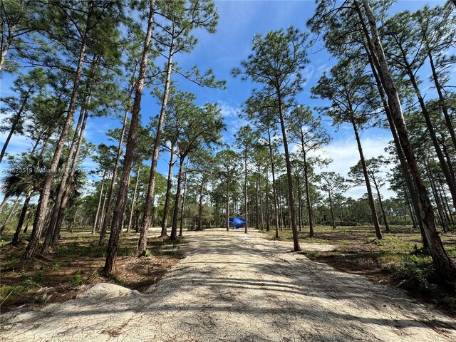 4355 Pioneer 10th St, Clewiston, FL 33440 - photo 13