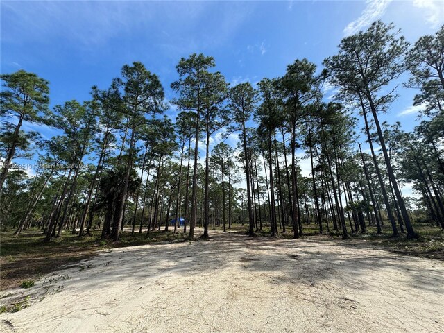 4355 Pioneer 10th St, Clewiston, FL 33440 - photo 14