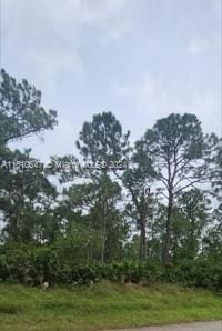 1307 W 11th St, Lehigh Acres, FL 33972 - photo 1