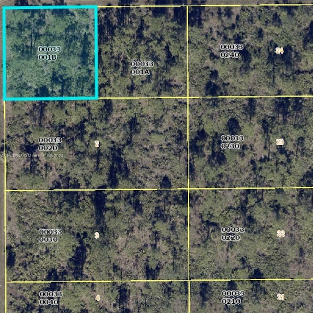1307 W 11th St, Lehigh Acres, FL 33972 - photo 2