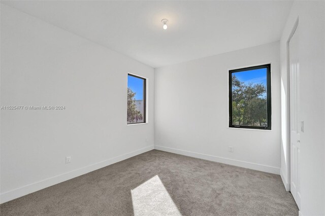 spare room with light carpet and a healthy amount of sunlight