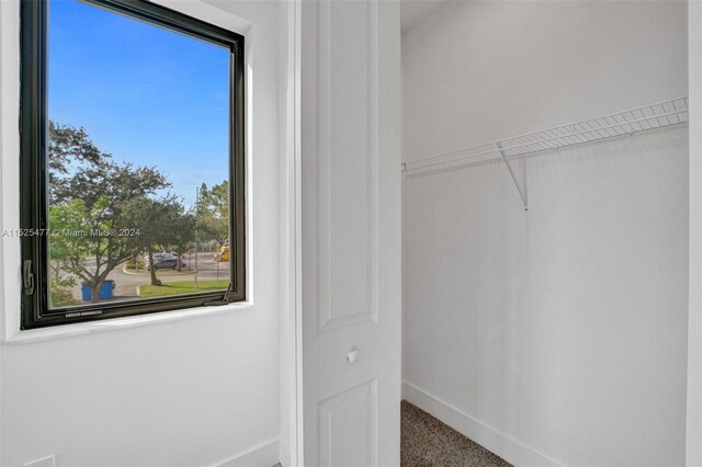 view of closet