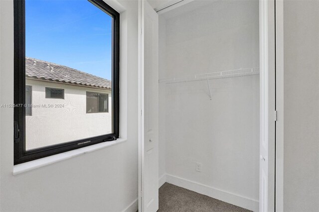 view of closet