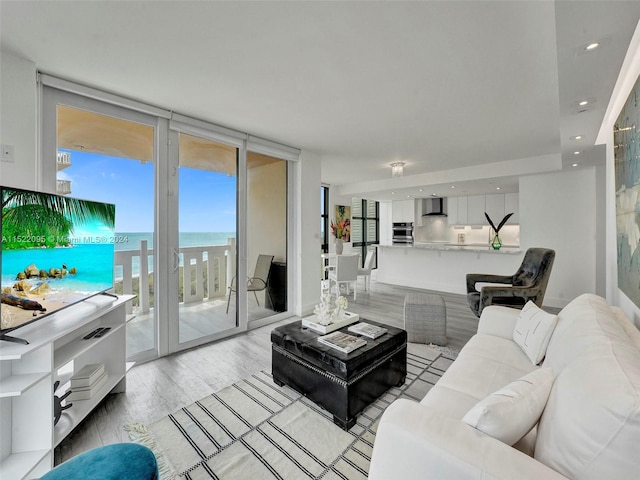 living room featuring light hardwood / wood-style flooring