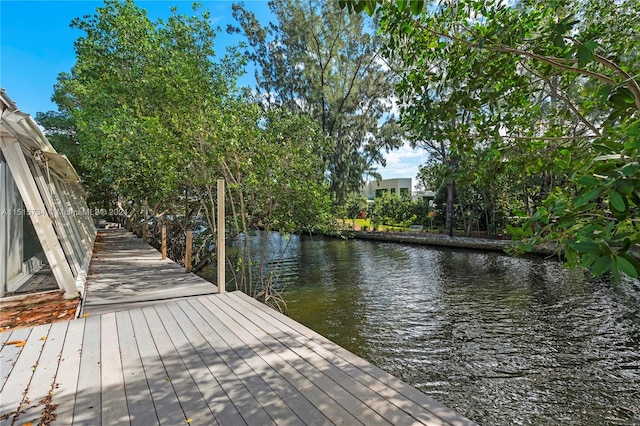 dock area with a water view