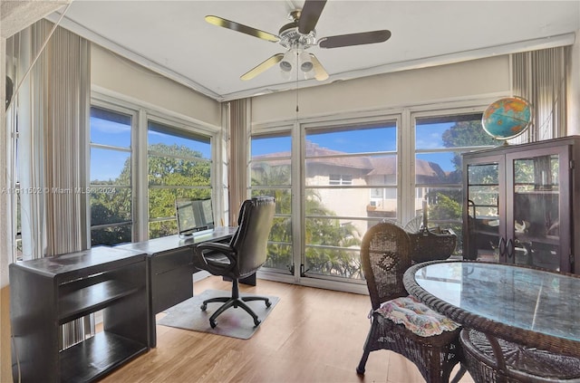 home office featuring french doors, plenty of natural light, ceiling fan, and light wood-type flooring