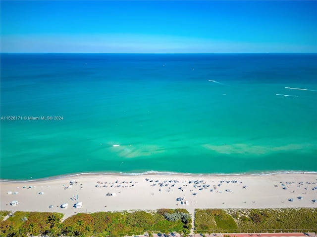 property view of water featuring a view of the beach