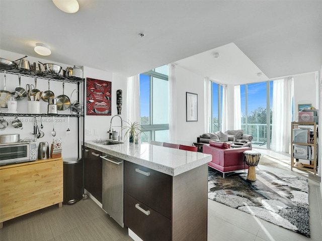 kitchen featuring stainless steel dishwasher, sink, dark brown cabinetry, and plenty of natural light